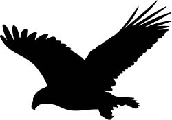 bird of prey sil 2